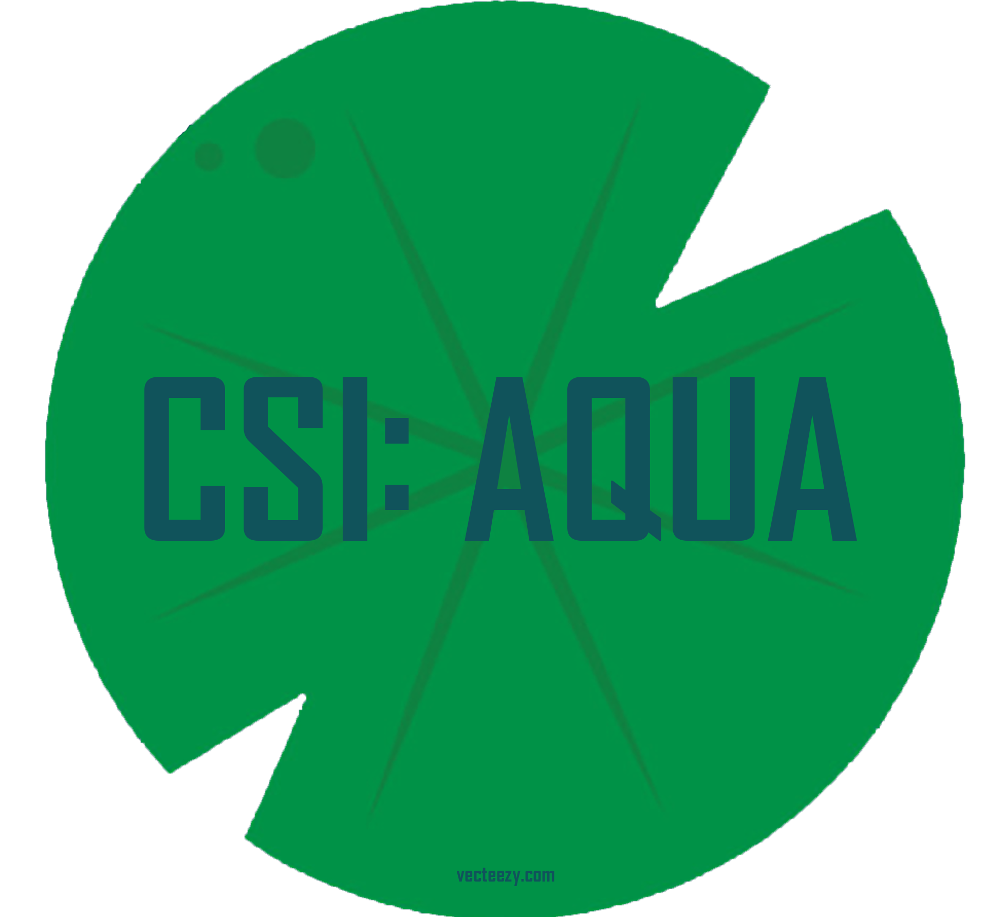 csi aqua