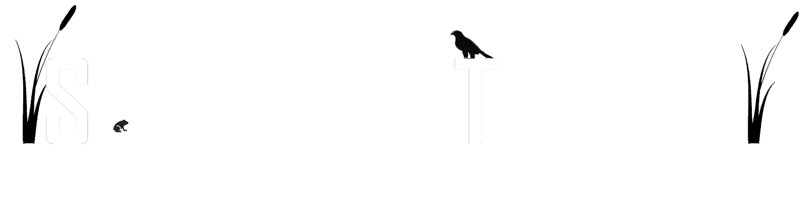 serbia wetlands